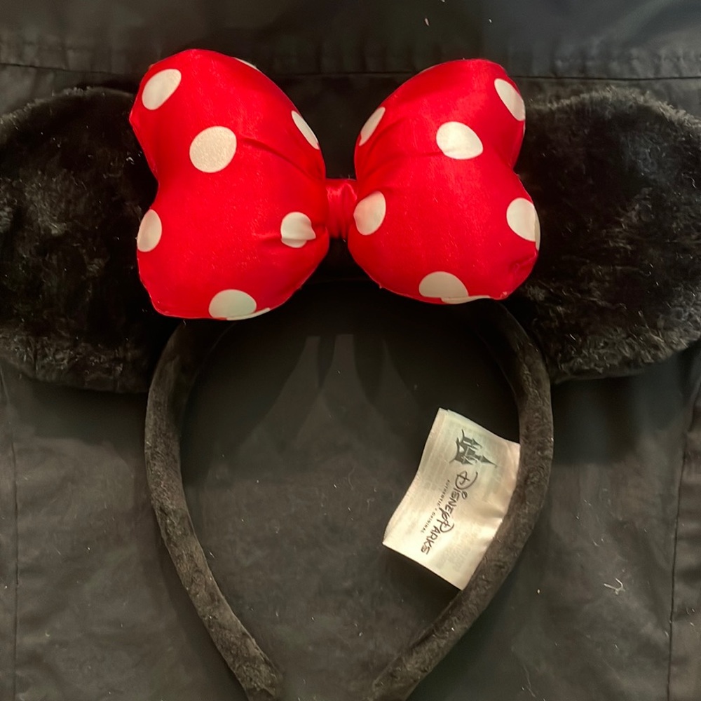 Mickey Mouse Ears